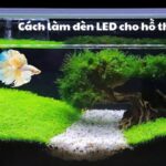 Cách làm đèn LED cho hồ thủy sinh