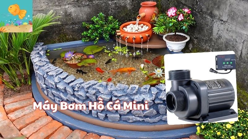 Gợi Ý 5 Mẫu Máy Bơm Hồ Cá Mini Tốt Hiện Nay