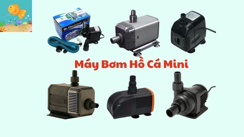 Máy Bơm Hồ Cá Mini 