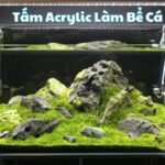 Tấm Acrylic Làm Bể Cá