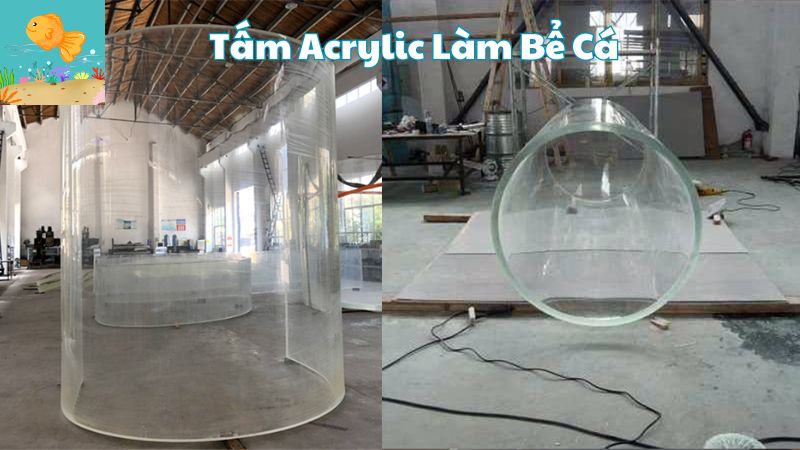 Tấm Acrylic Làm Bể Cá