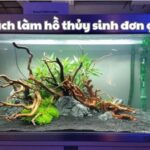 cách làm hồ thủy sinh đơn giản