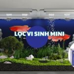 lọc vi sinh mini