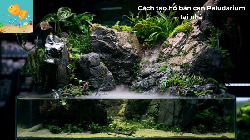 hồ bán cạn Paludarium